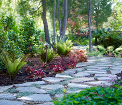 Beautiful Stepping Stone Walkway