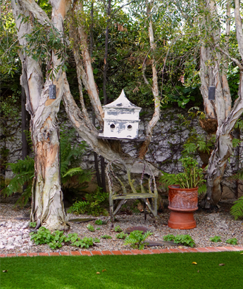 Backyard with Bird House